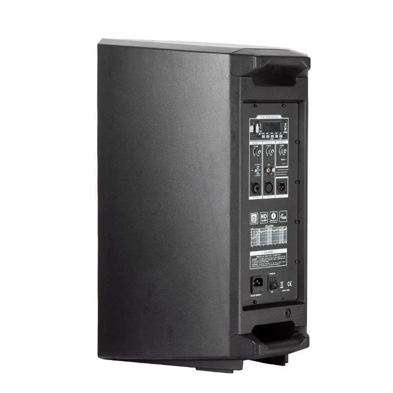Portable 15″ Class-D PA Speaker with Tws Bluetooth