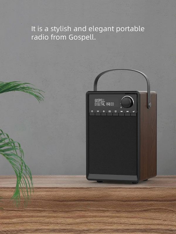 Portable DRM/Am/FM Digital Radio and Bluetooth USB SD Speaker Radio Receiver