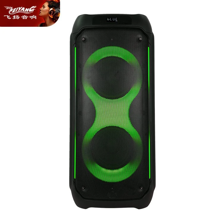 Portable Feiyang Speakers Double 8 Inch Flame Lights