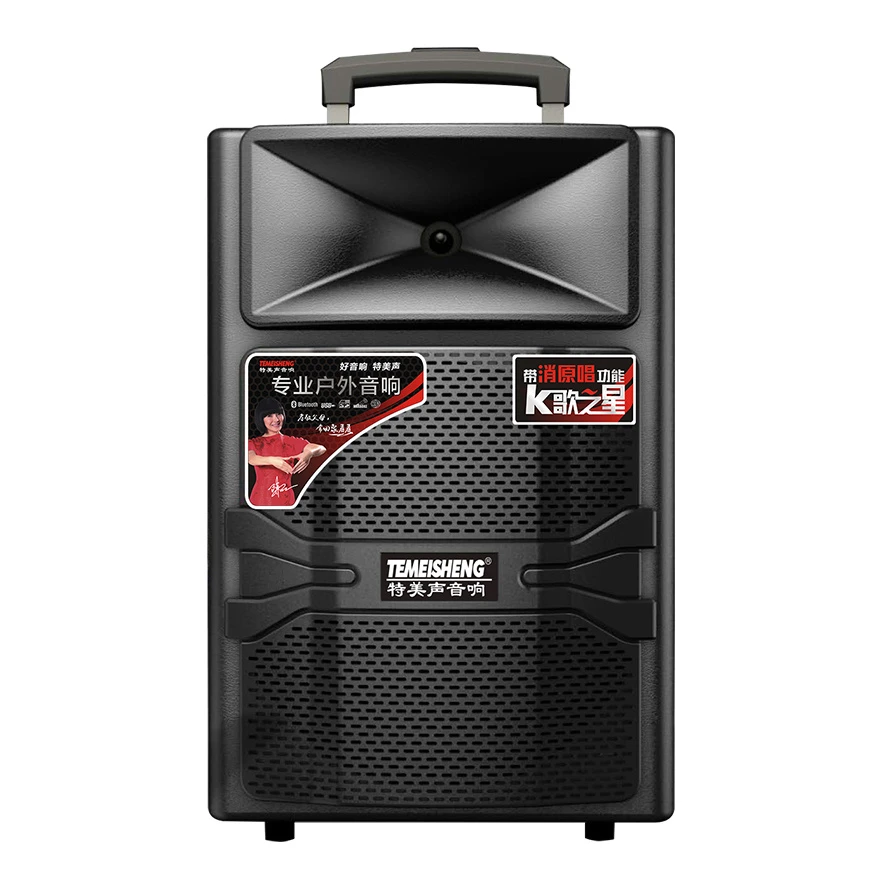 Portable Speaker! ! ! 12 Inch PA Speaker with Bluetooth and Wireless Microphone OEM Guangzhou