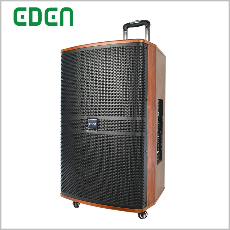 Portable Wireless Professional Rechargeable Multimedia DJ Karaoke Sound Box Trolley Bluetooth PA Speaker Tws with LED Light ED-1502