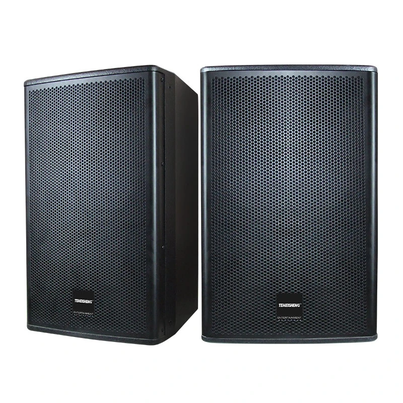 Portable Wireless Speaker Boombox Amplifier 650W Professional Speaker