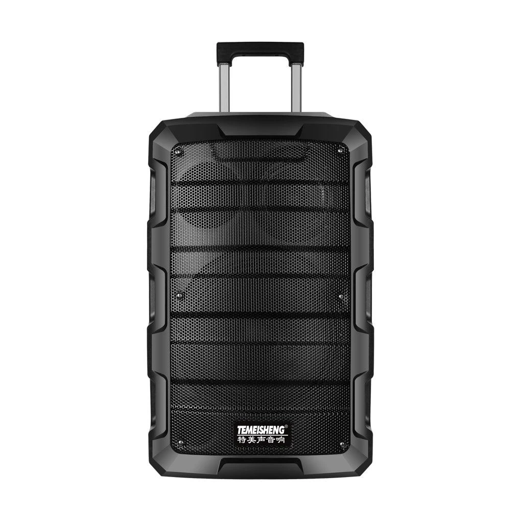 Powered Speaker Trolley Speaker Boombox Professional Speaker Karaoke Speaker