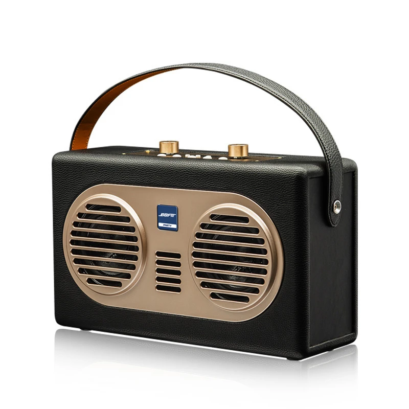 Powerful Bluetooth Party Speaker with Dual DSP Technology