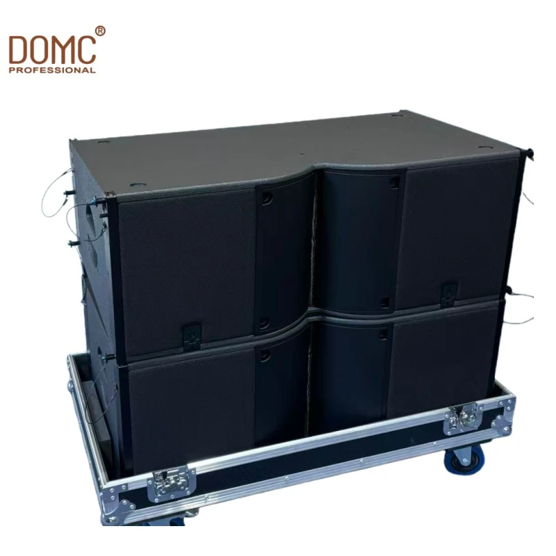 Premium 10-Inch Active Speakers for Professional DJ Use