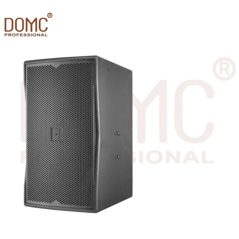 Premium 10-Inch Stage Speaker for Djs and Performers