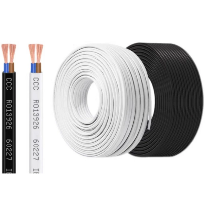 Premium BVVB and Rvvb Copper Stranded Cables for Versatile Applications