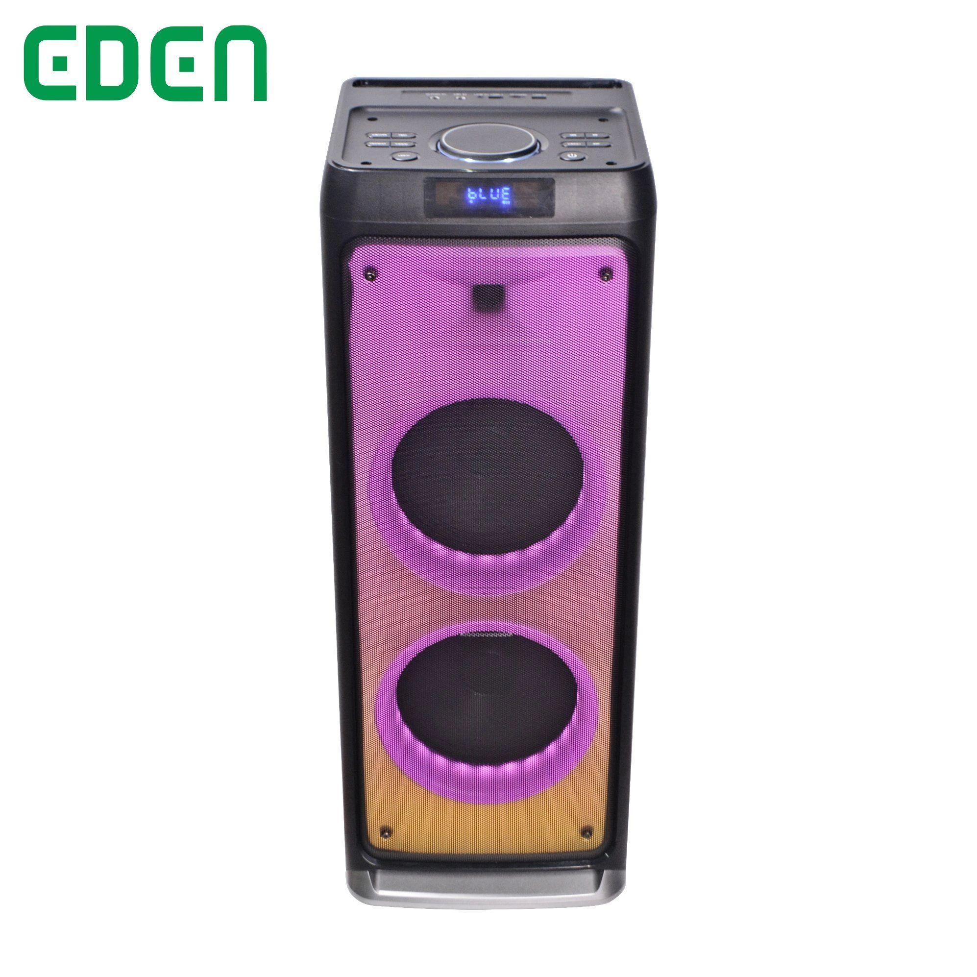Private Dual 8inches Multifuntion PA Bluetooth Portable Rechargeable DJ Karaoke Tws with LED Light Speaker