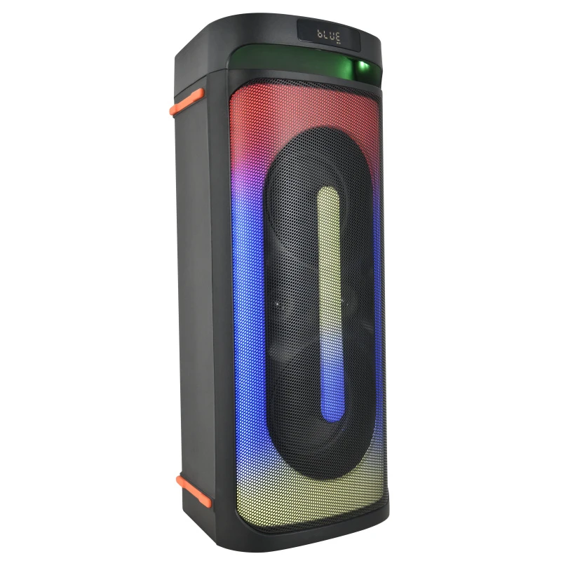 Private Model Luxury Flame Light Powered PA DJ USB Karaoke Bluetooth Dual 6.5 Inch Audio Loud Speaker