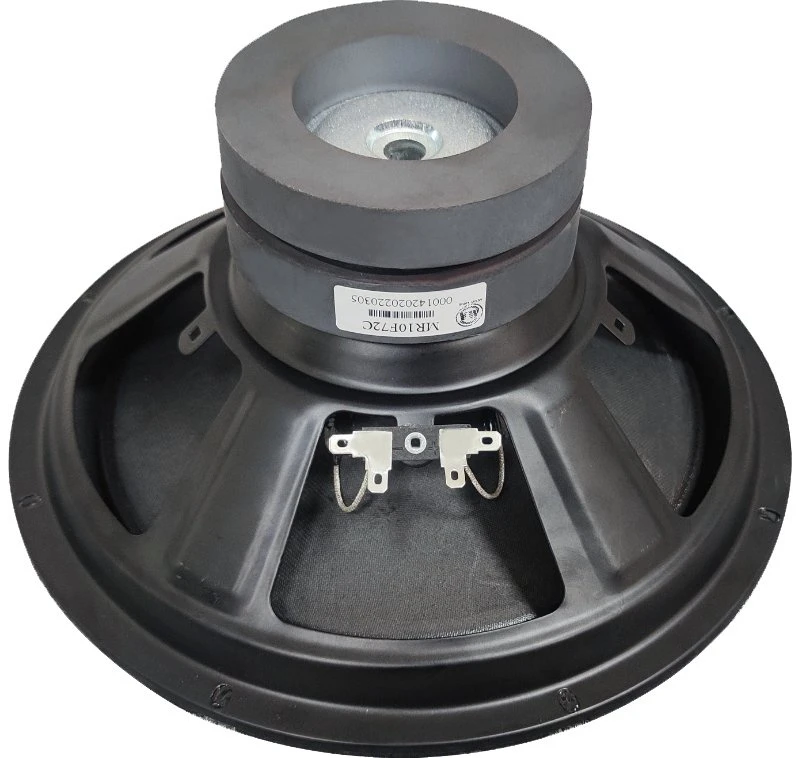 Professional 10 Inch Double Magnet Speaker 200W Woofer