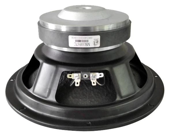Professional 10 Inch Speaker 140mm Magnet Max Power 400W Power Woofer Speaker