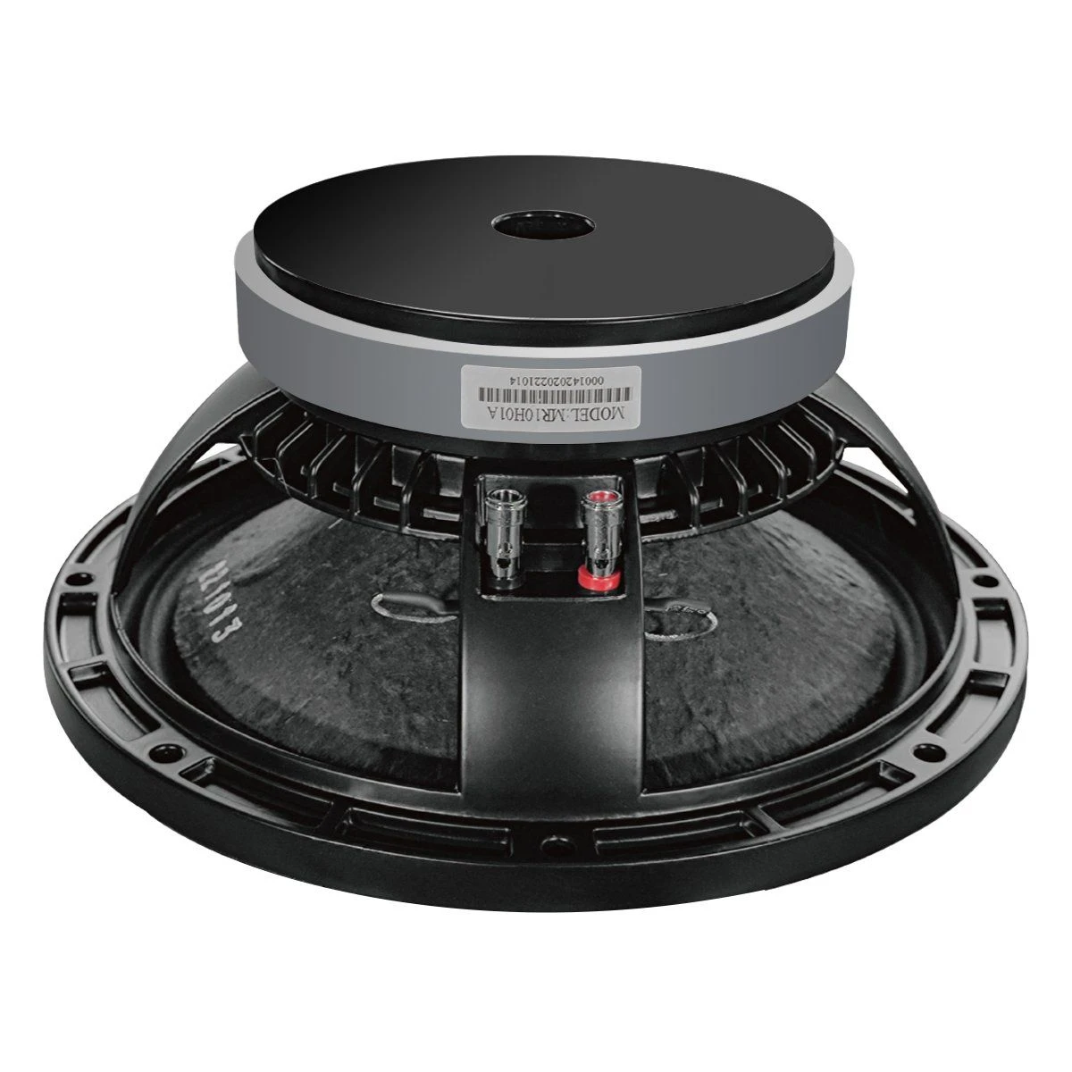 Professional 10 Inch Woofer Speaker Multifunction for Enterainment