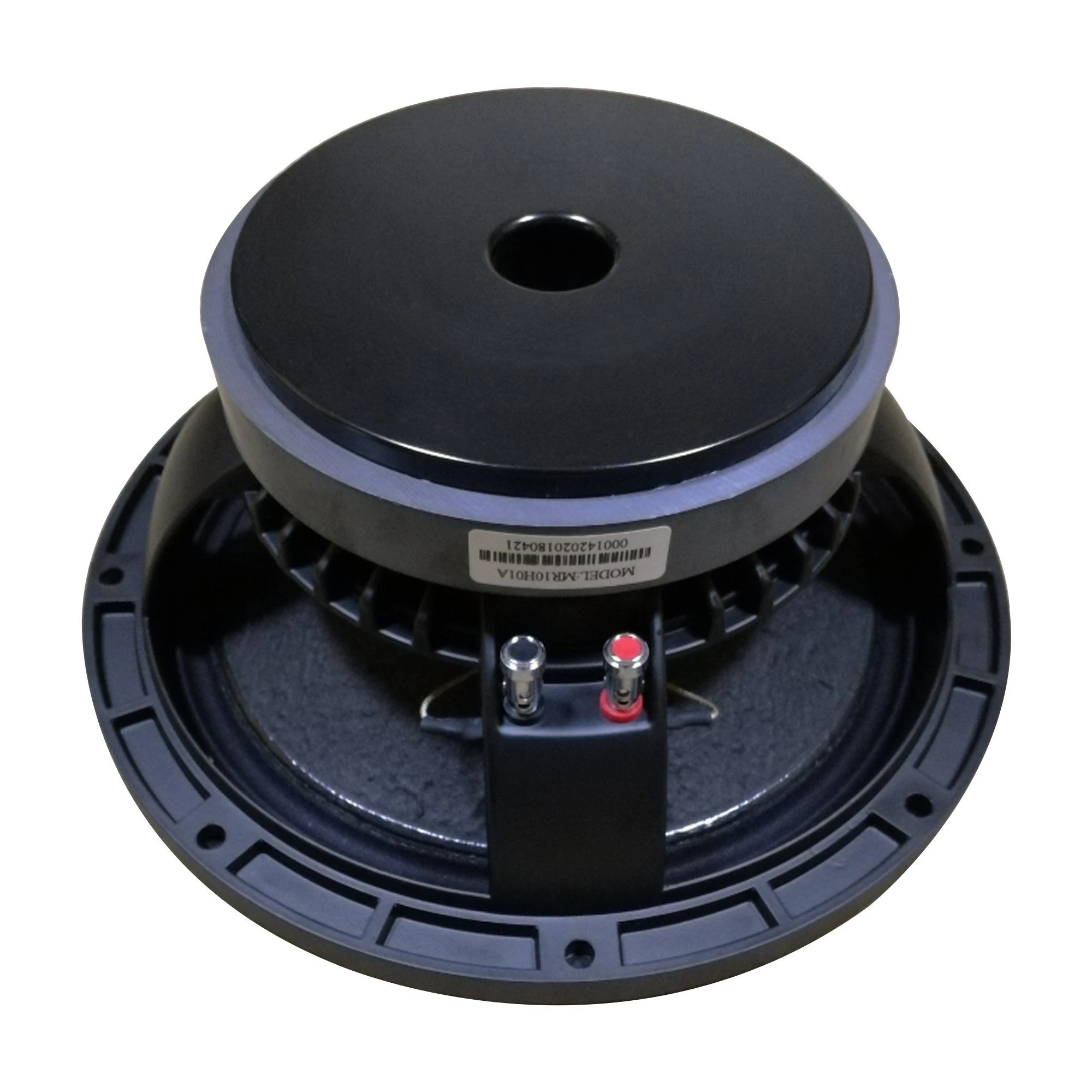 Professional 10 Inch Woofer Speaker Multifunction for Enterainment