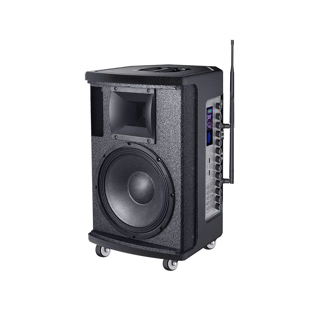 Professional 10 Inches Wooden Party Speaker High Power 350W Wireless Bluetooth Party Portable Speaker with Wheels