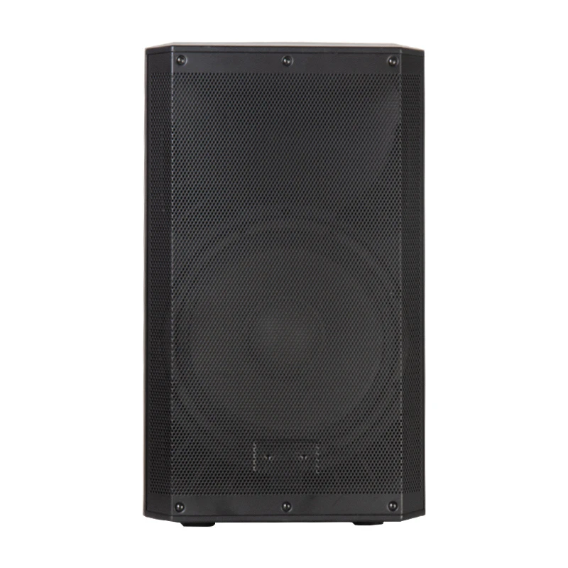 Professional 1000W Powerful Active PA Speaker for Djs
