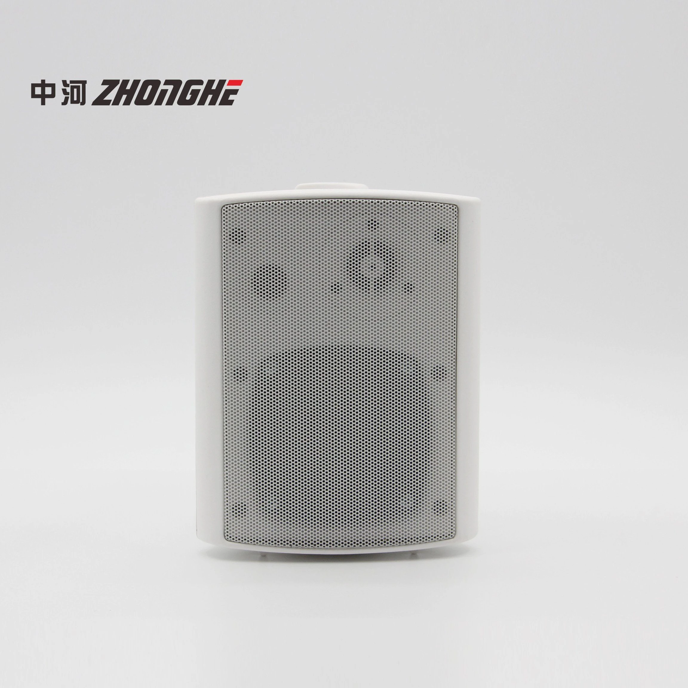 Professional 100V 20W Fedility Wall Speaker