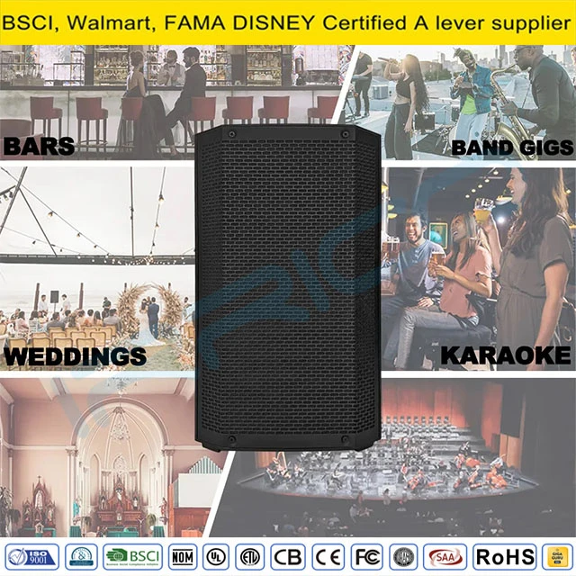 Professional 12inch Portable 2way PA Loudspeaker with Tws/Bt/Gt/DSP, PA Speaker System Audio