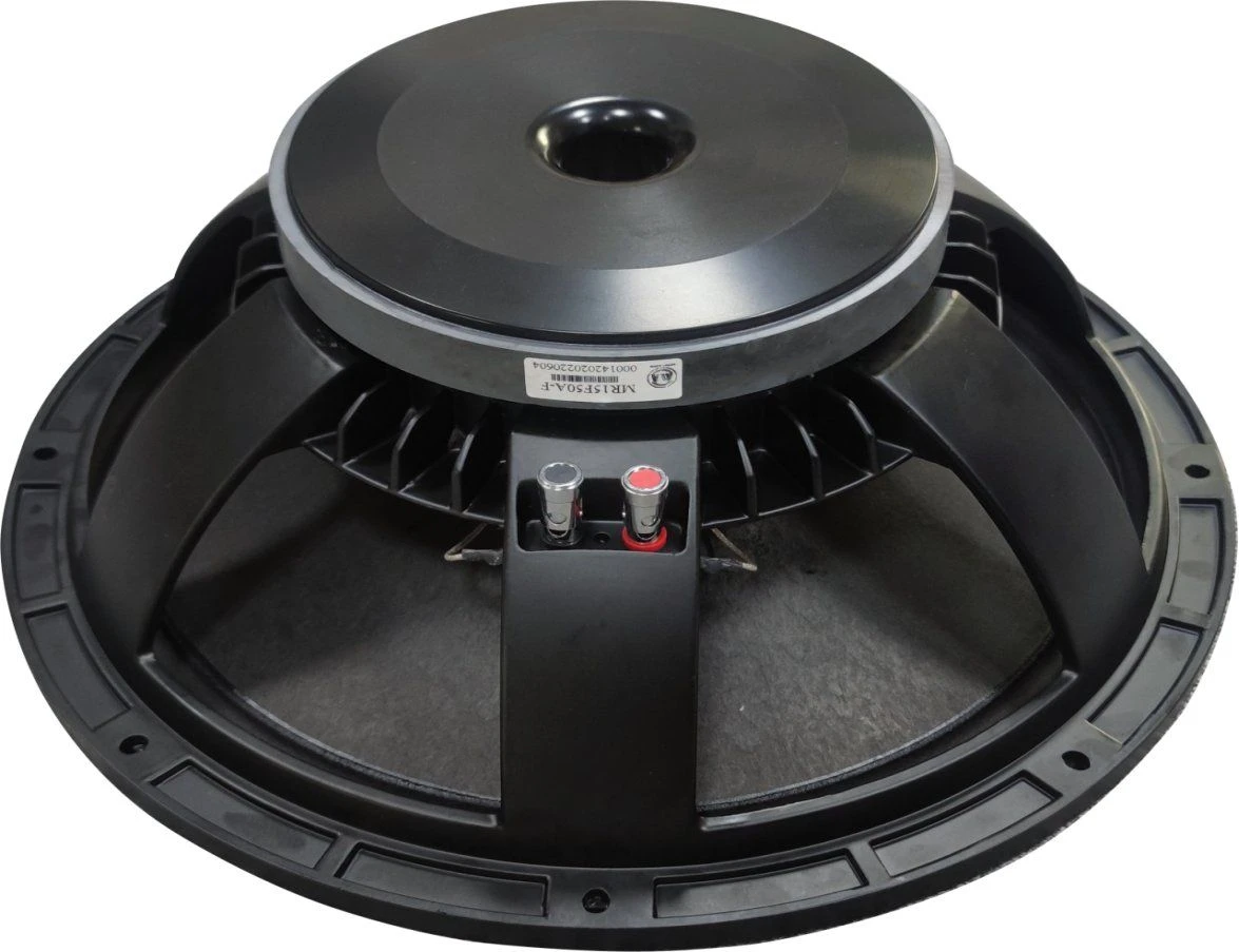 Professional 15 Inch 8 Ohm Big Max Power 800W Speaker Driver High Quality