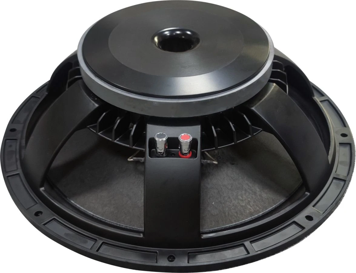 Professional 15 Inch 8 Ohm Big Max Power 800W Speaker Driver High Quality