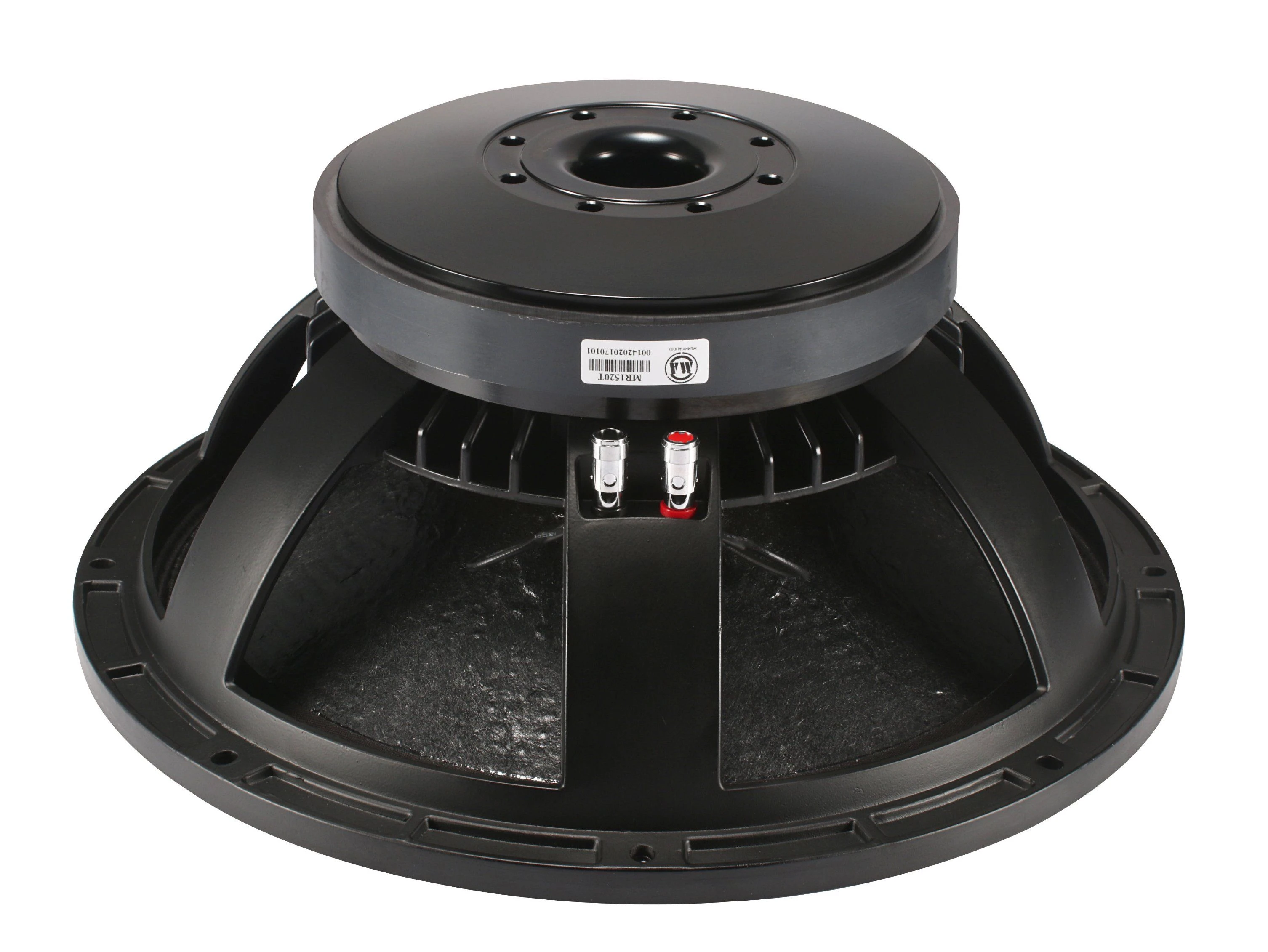 Professional 15 Inch Sub Woofer 220mm Magnet Power Woofer Speaker