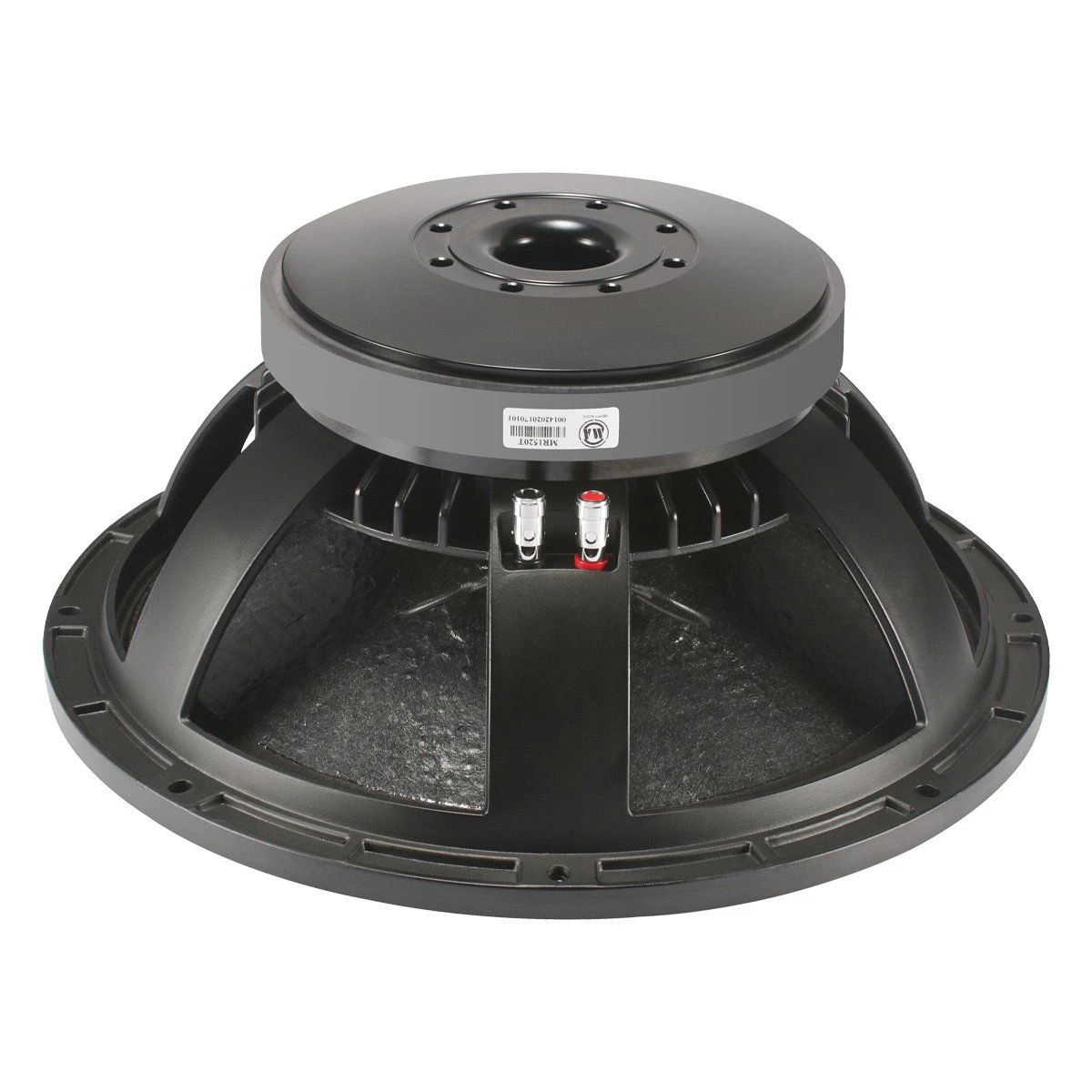 Professional 15 Inch Sub Woofer 220mm Magnet Power Woofer Speaker