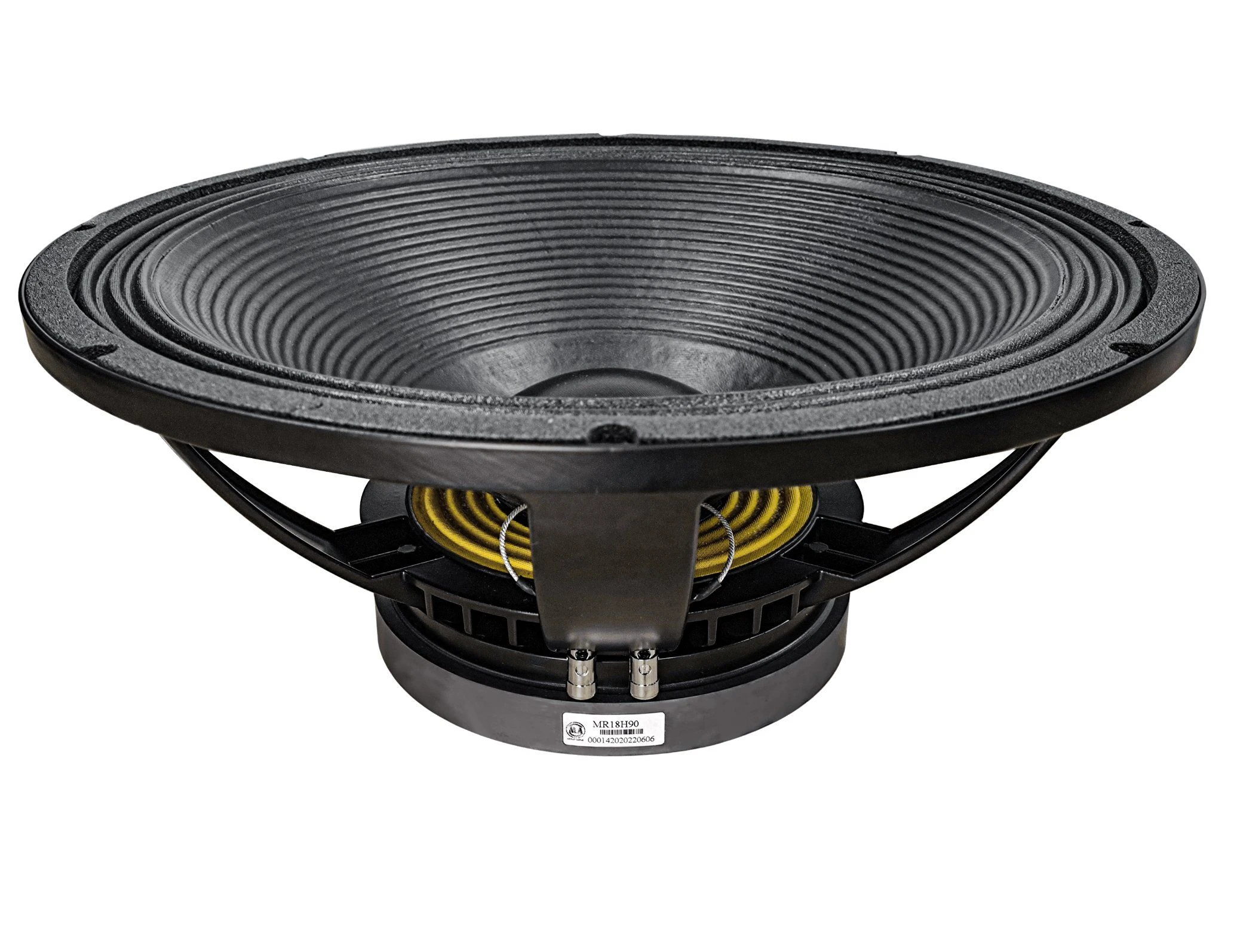 Professional 18” Passive Line Array Speaker 18 Inch PRO Line Array Speaker 4 Inch Speaker Voice Coil