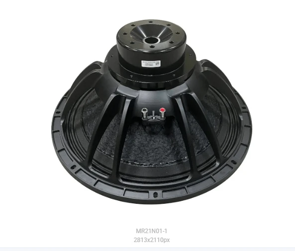 Professional 21 Inch Neodymium Woofer Speaker, AES 1200W Powerful Loudspeaker
