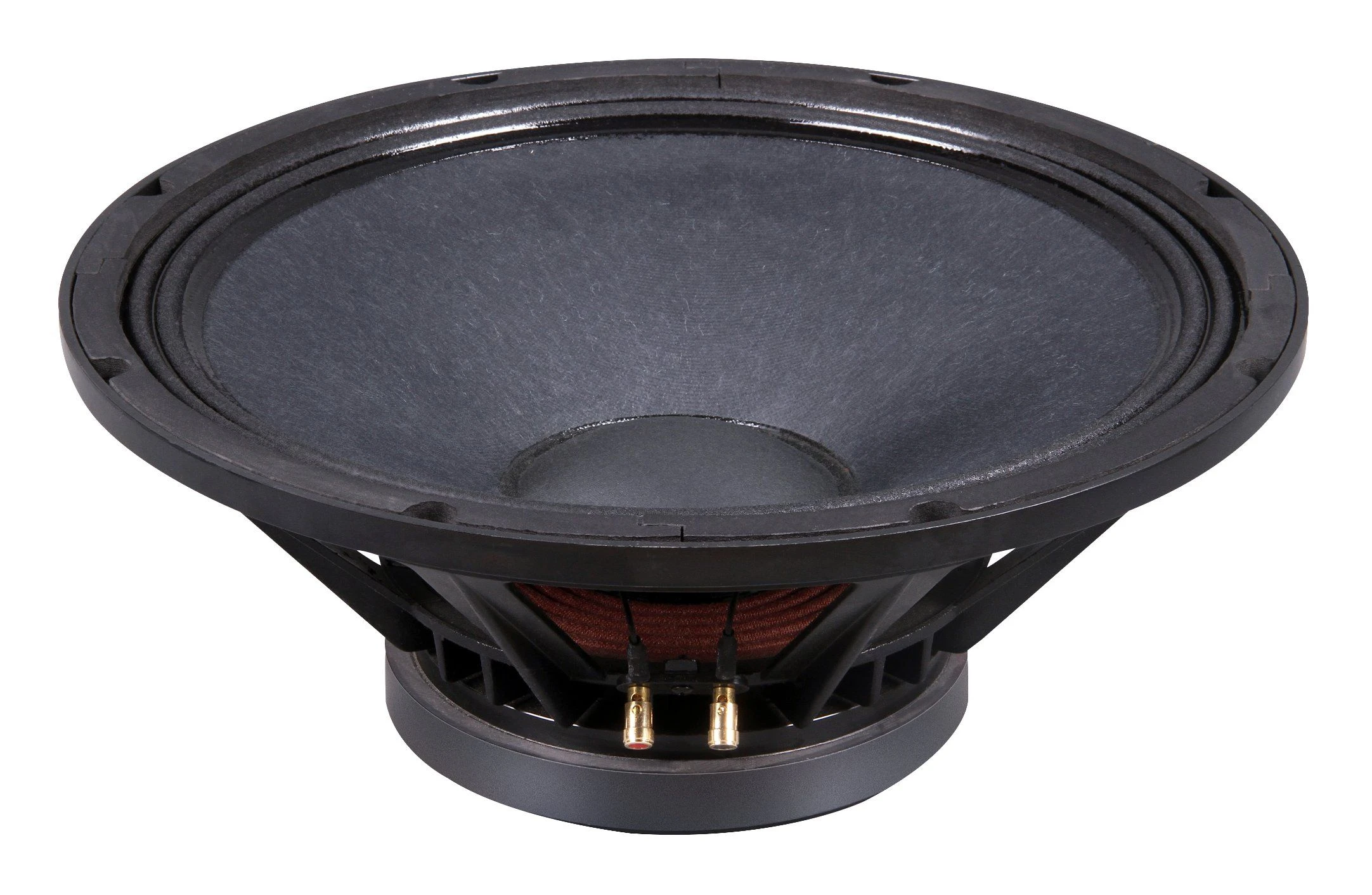 Professional 350W Low Frequency 15 Inch Ferrite Woofer