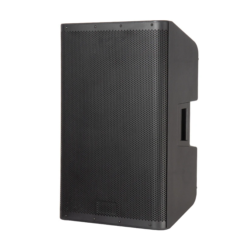 Professional 8/10/12/15 Inch Active PA Speaker for Concerts and Parties