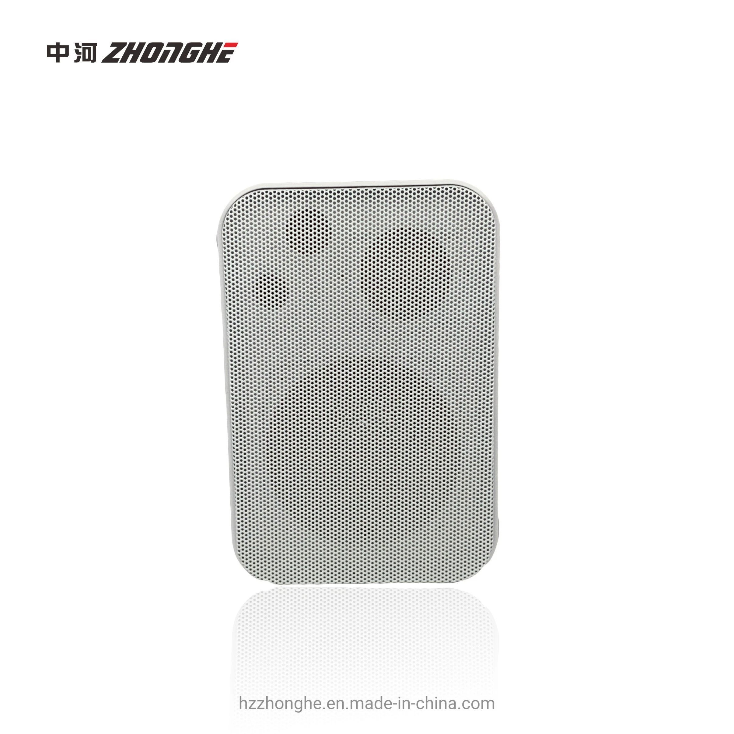 Professional Audio 10W 4ohm Wall Mouted Speakers