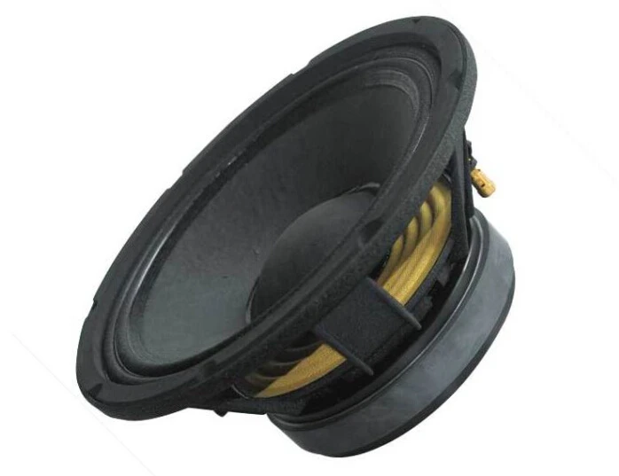Professional Audio 200W 10″ Ferrite Low Frequency Loudspeaker System