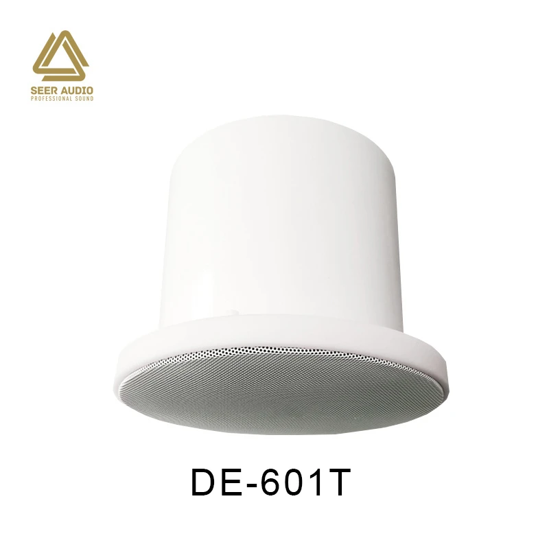 Professional Audio ABS Full Range Ceiling Speaker with Back Dome for Commercial Audio