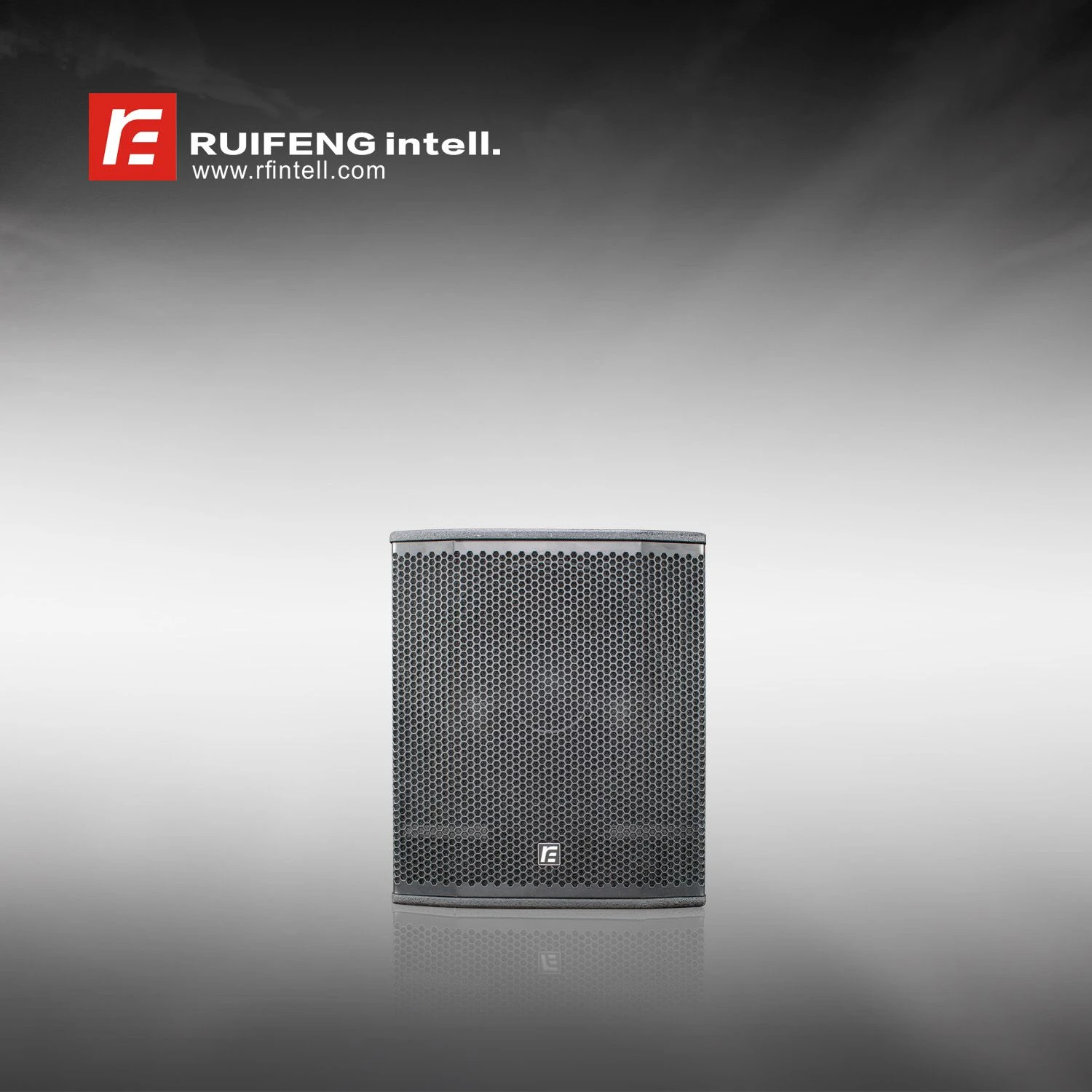 Professional Audio Active Amplified Sound Speaker PA Speaker