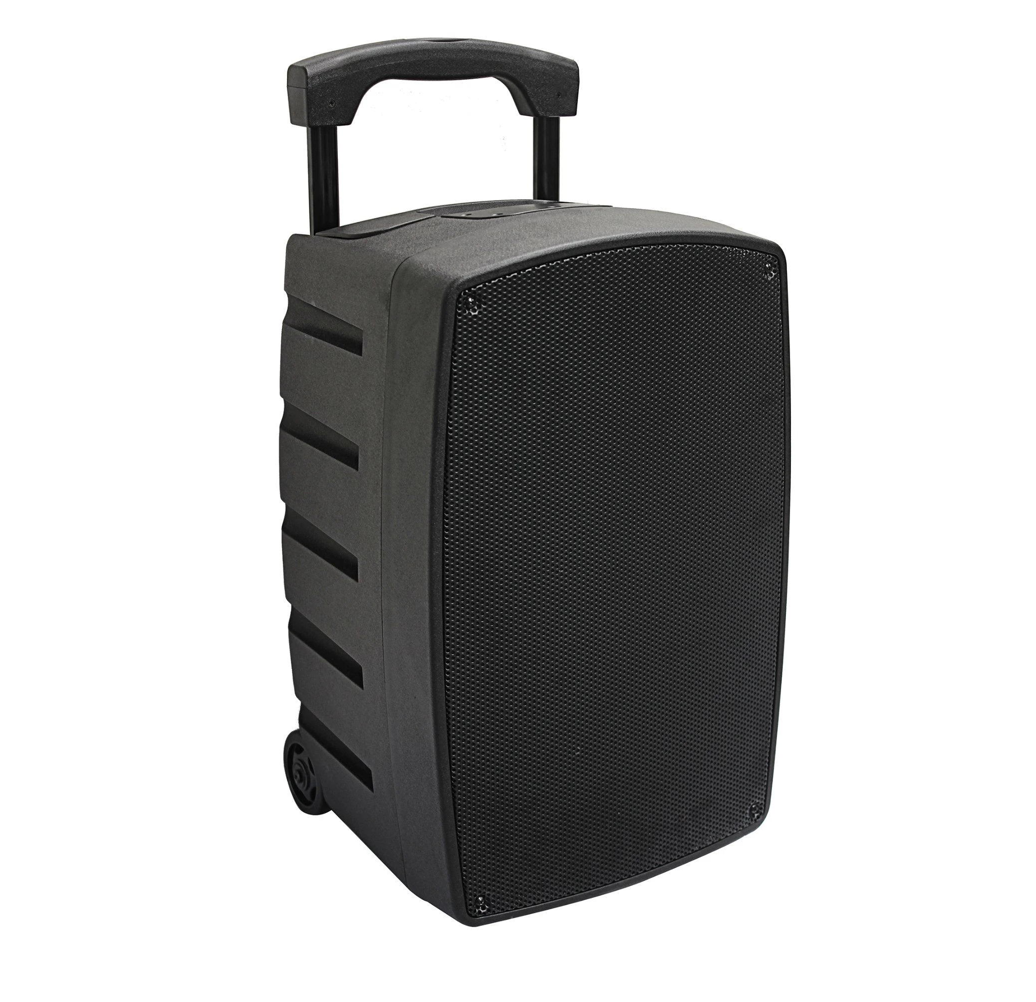 Professional Audio Bluetooth 10 Inch Trolley Portable Speaker with Long-Lasting Battery and Powerful Audio Performance