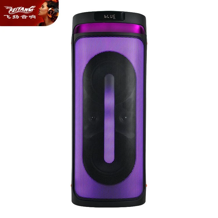 Professional Audio Dual 6.5 Inch Party Outdoor Tws Karaoke Bluetooth Speaker
