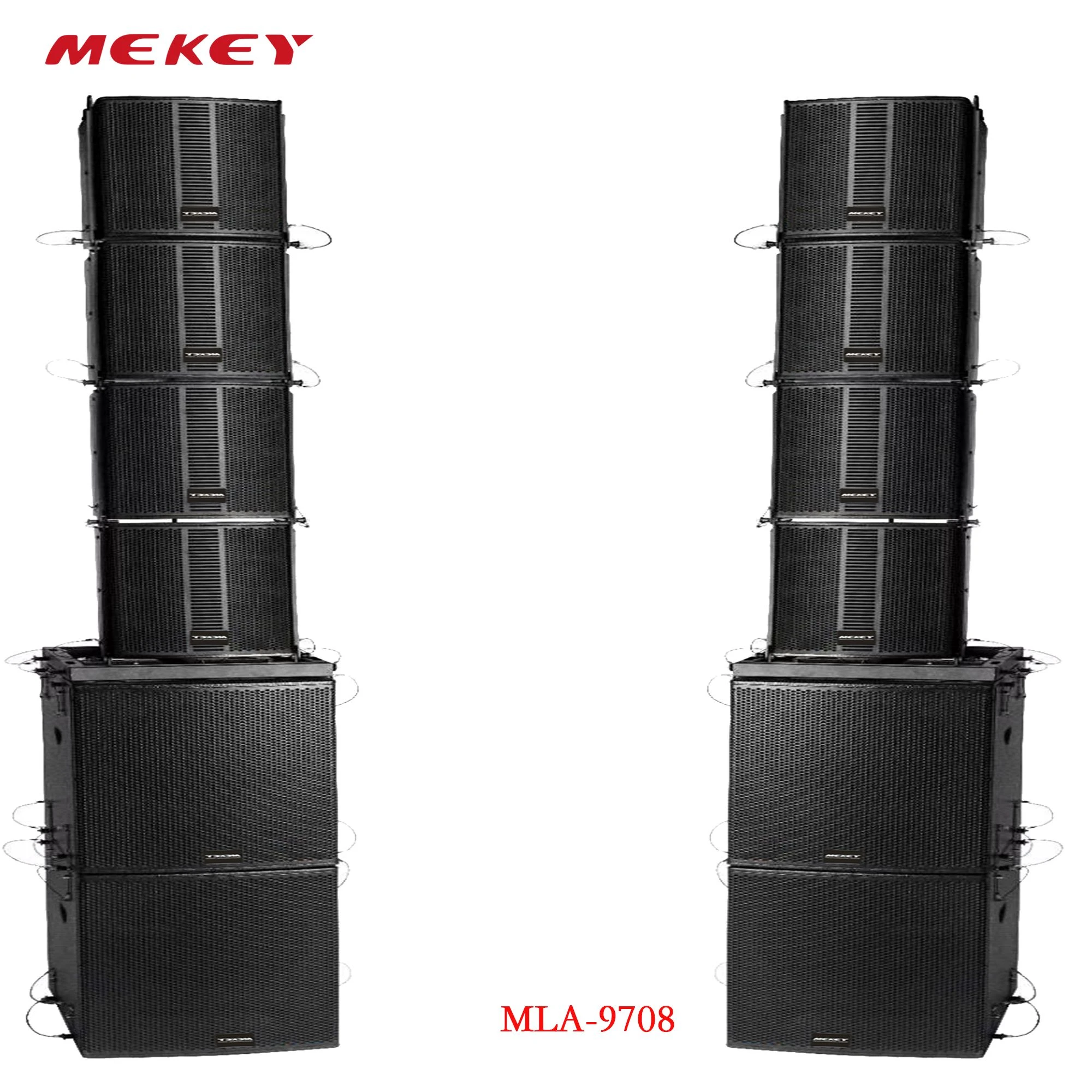 Professional Audio Loudspeaker with High Sensitivity and Wide Range