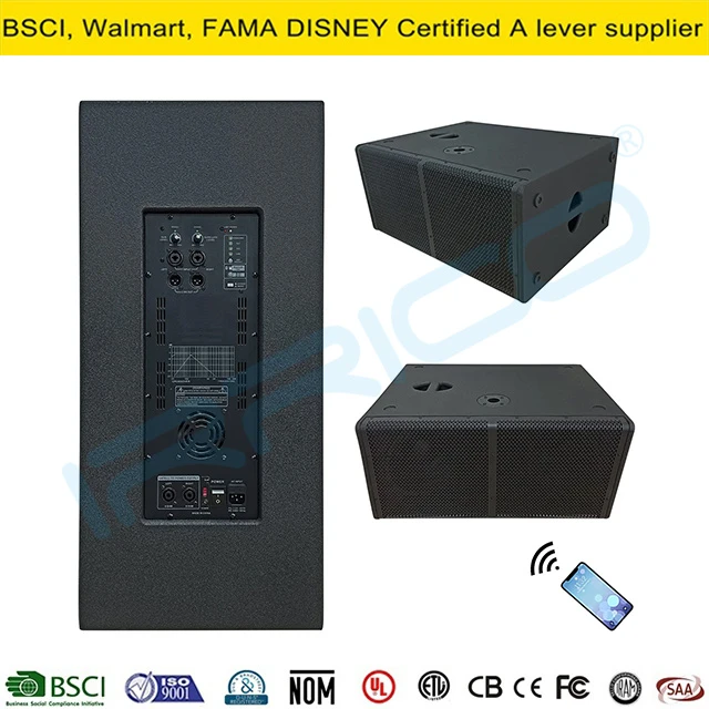 Professional Audio PA Line Array Speaker System with Dual 12″ Active Subwoofer