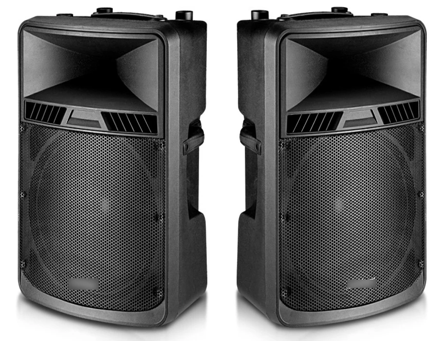 Professional Computer Audio Sound Box with 18inch