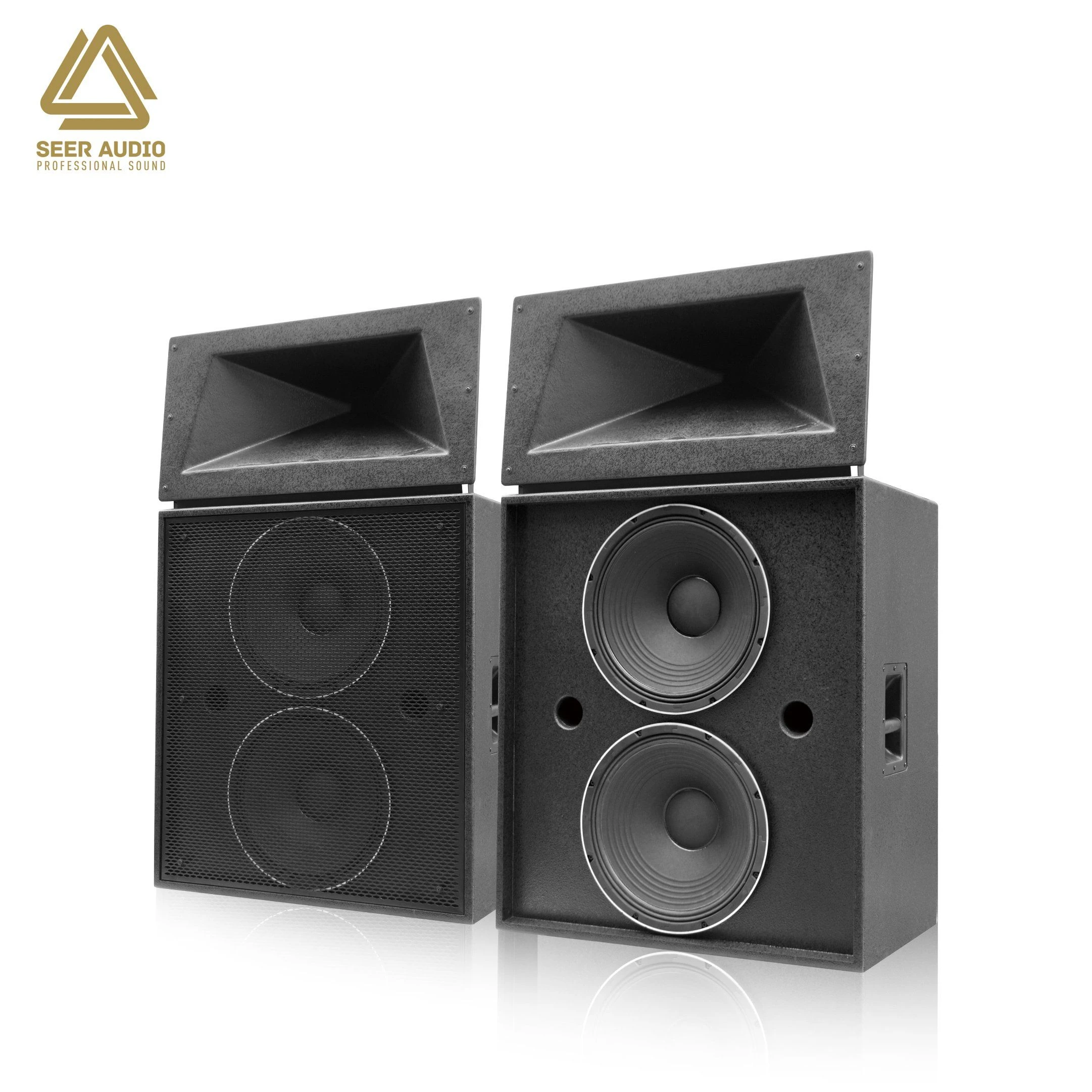 Professional Dual 12-Inch Audio High-Power Indoor Large Passive Speakers Cinema Sound Theater Speaker Stage