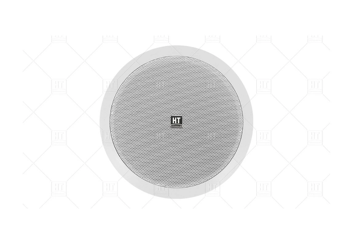 Professional Grade Ceiling Mounted Speaker