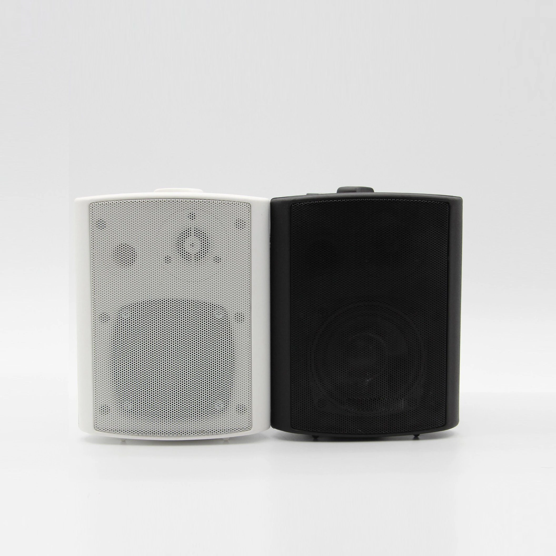 Professional High Fedility 20W 4 Inch Wall Speaker