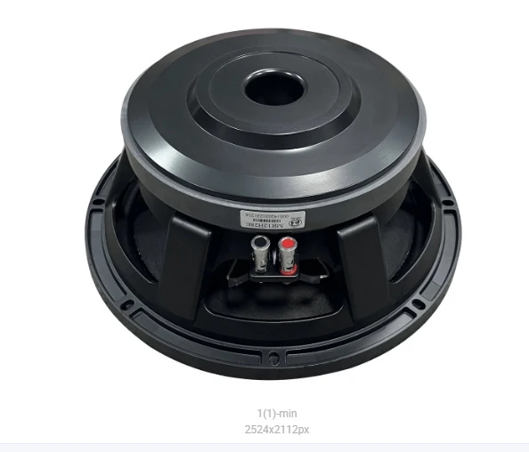 Professional High Quality Woofer 12 Inch Sound System Indoor Outdoor Speaker