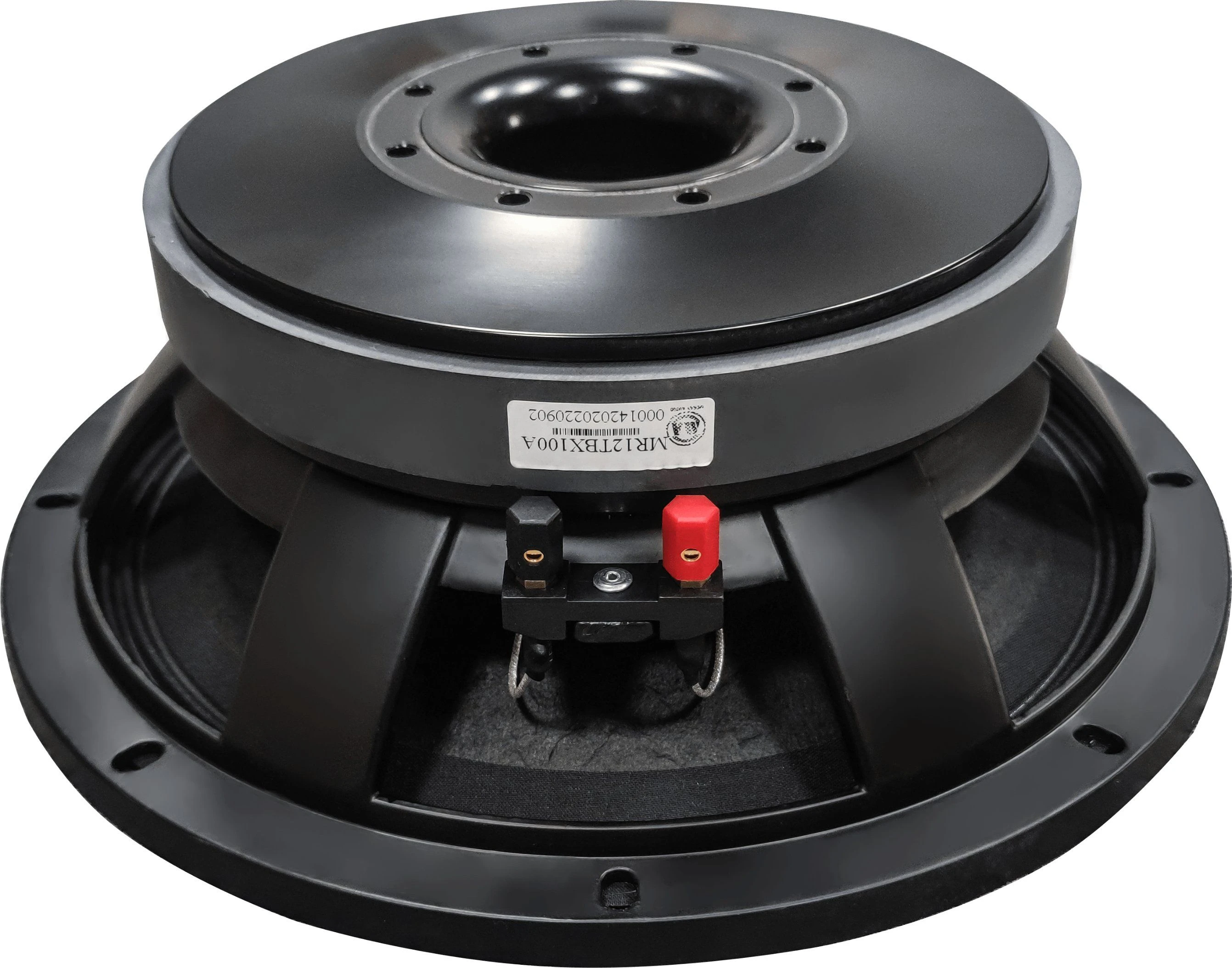 Professional Manufacturer High Quality 12 Inch 220mm Magnet Indoor Outdoor Speaker