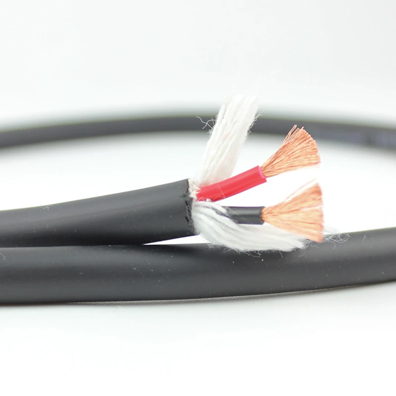 Professional Manufacturer of 2-Core Audio Speaker Cable Ce Approved (FS-215L)