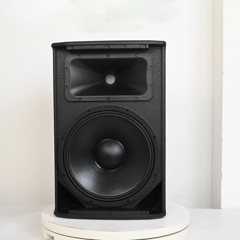 Professional Monitor Speaker 15 Inch Full Frequence Speaker