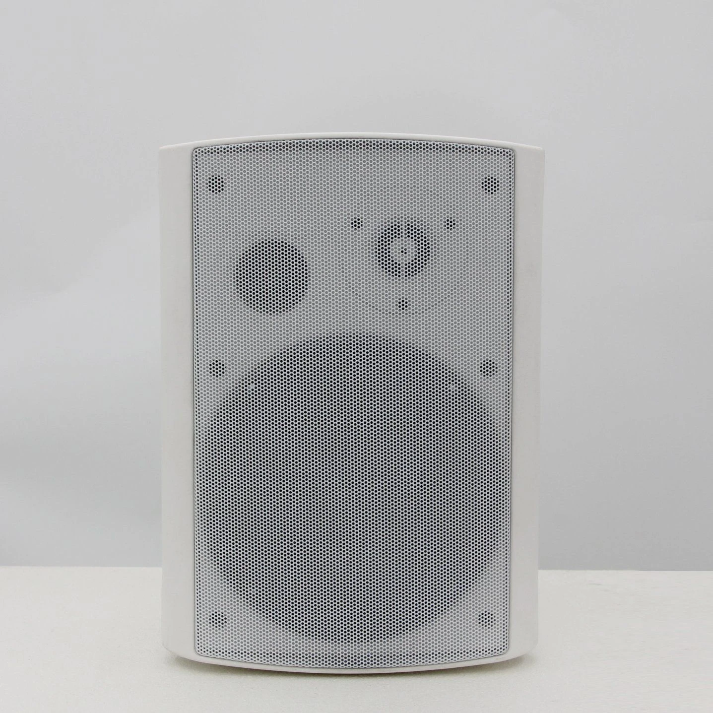 Professional PA System 40W Fedility Wall Speaker