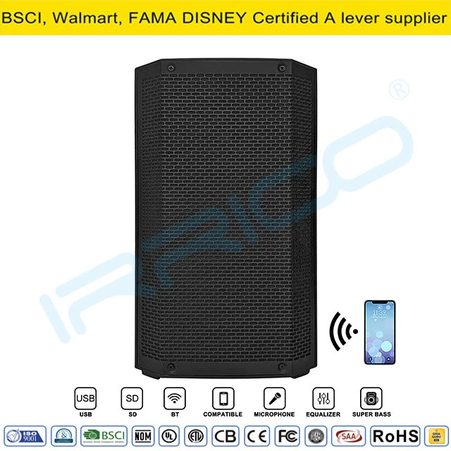 Professional Powered 12″ Portable 2-Way PA Loudspeaker with Tws/Bt/Gt/DSP Processor, PA Speaker System