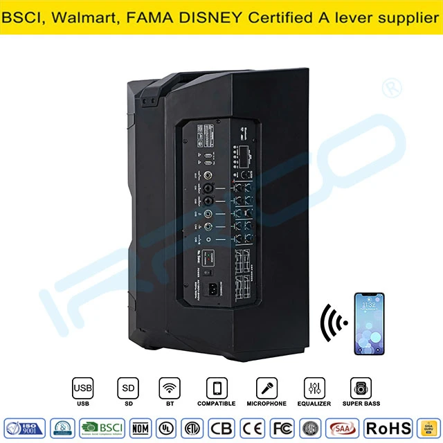 Professional Powered 12inch Portable 2-Way PA Loudspeaker with Tws/Bt/Gt/DSP Processor, PA Speaker System Audio