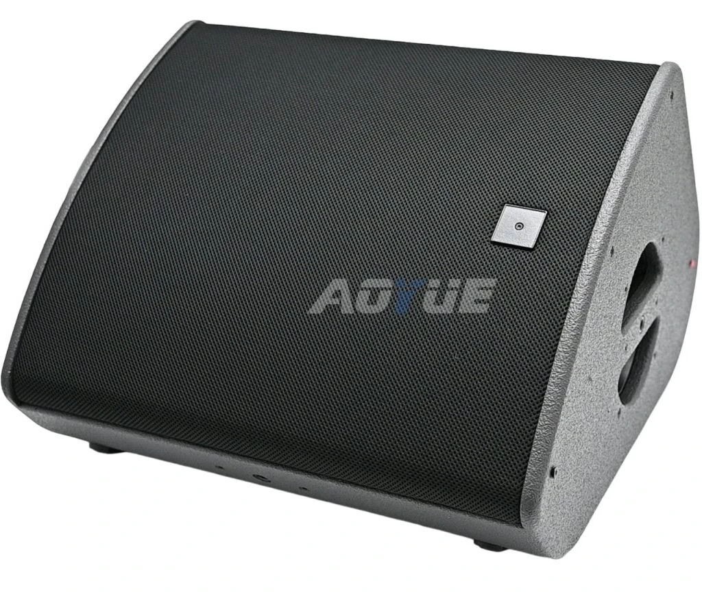 Professional Sound Stage Monitor 12 Inch Passive Speaker