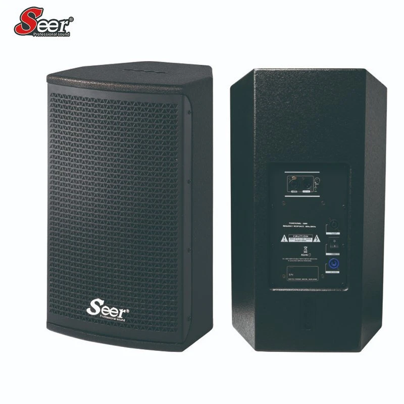 Professional Speaker 10 Inch for Stage Sound System Speaker Subwoofer Wooden Speaker